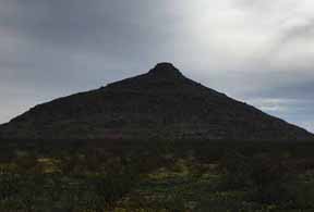 Mexico Mule Deer Hunts